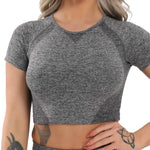 Tight Seamless Yoga Shirts Women - keytoabetterlife