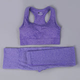7 Colors GYMS Seamless Yoga Set Fitness Sport Suits 2 Piece Outfits - keytoabetterlife