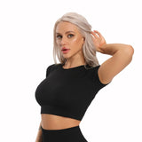 Seamless Yoga Top Fitness Long Sleeve Women Gym Sexy Sportswear - keytoabetterlife